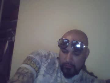 Recommended: michi_el_gato_