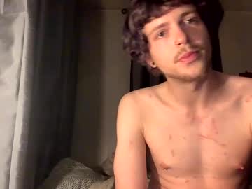bashybashed - Live Performer