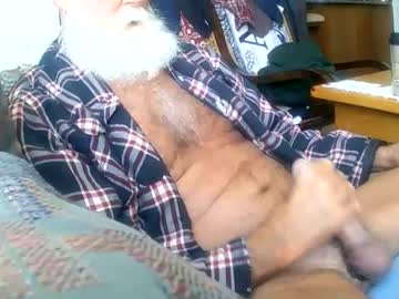 beardbushy