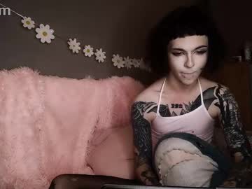 dandelion_sea - Live Performer