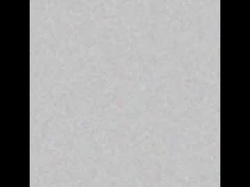 horzy_forz - Live Performer