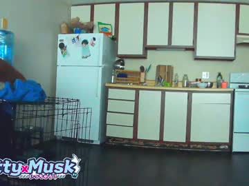 nuttyxmusk - Live Performer