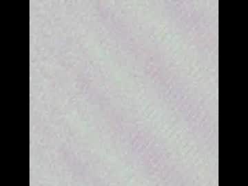 oliver_tommy - Live Performer