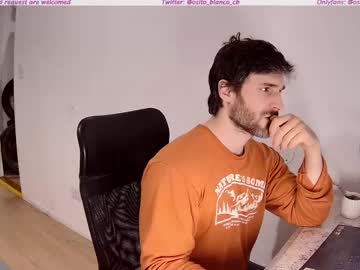 osito_blanco