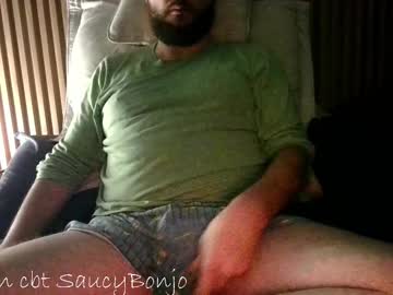 saucybonjo - Live Performer