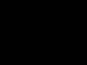 snei_boyx - Live Performer