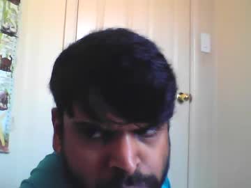 sundoog - Live Performer