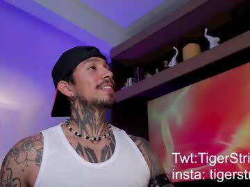 tigerstripes_ - Live Performer